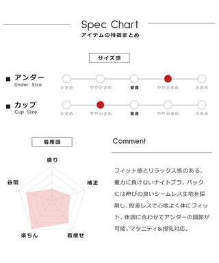 「重力に負けないナイトブラ」ホック付きナイトブラ&ショーツ