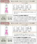 大きな胸を小さく見せるスリムシルエットブラジャー【ブラ単品】