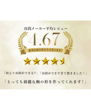 瞬間谷間メーカー ブラジャー【ブラ単品】