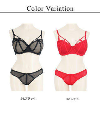 クリールレーンモールドカップブラ＆ショーツ