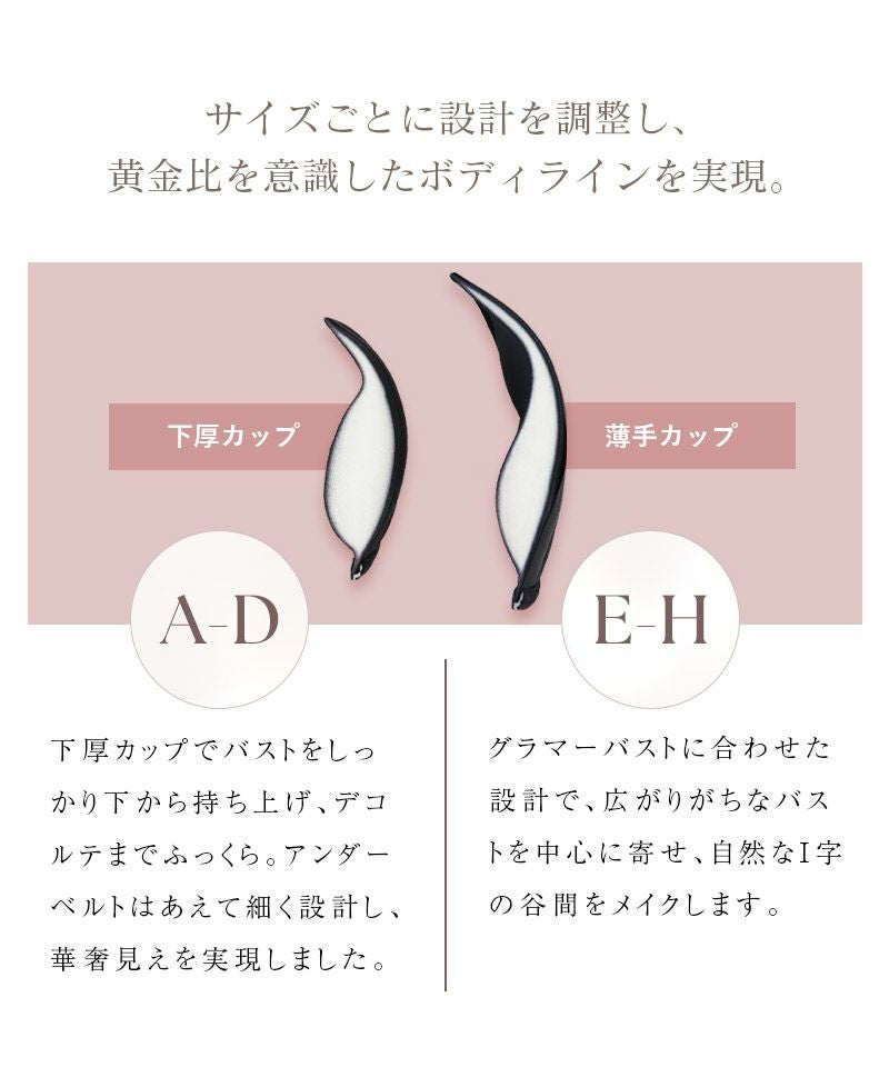 《エアランジュ》ラヴィーナブラ【ブラ単品】