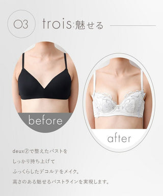 《Pliea》trois プリュムドシーニュブラ【ブラ単品】