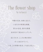《Leene》アジサイレースブラ＆ショーツ