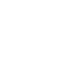 01 Dahlia lace bra