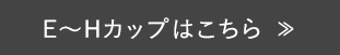 E~Hカップはこちら